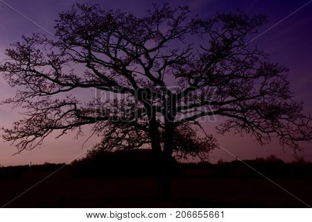 After the sun appears we stil look for blue hour and the wonderful background an silhouette. Look the color of nature simple the best.