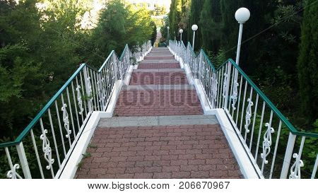 Park stairs trees flora, foliage, maple, scenery, scenic, season,