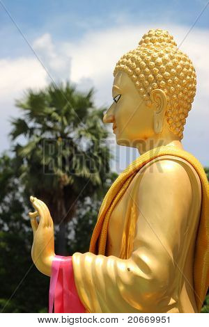 Postura di mano di Buddha