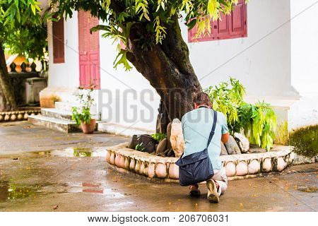 Man photographing plants in Louangphabang Laos. Copy space for text. Back view