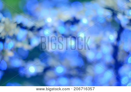 Christmas Led Lights In The Form Of Flowers, Blue Bokeh, Selected Focus