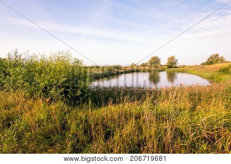 Natural pond early in the morning of a sunny day in the beginning of the fall season.