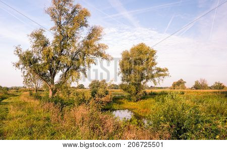 Rural landscape in front of a Dutch dike early in the morning of a sunny day in the beginning of the fall season.