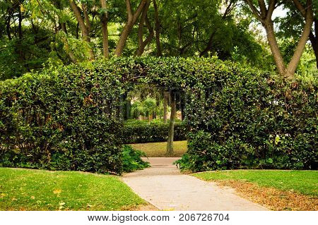 Entry to a urban garden between leaves