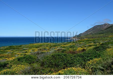 Beautiful Landscapes Along The California State Route One, California, Usa