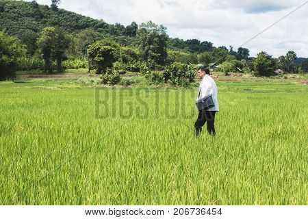 Young docter Pointing Height Destination to Future in the Green Wheat field Searching for the New Startup OpportunitiesCommunity Health and Development Hospital In Remote Areas Development Fund Concept.