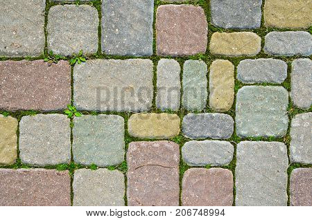 Multicolored Sidewalk Tile Texture. The Texture of Artificial Stone Pavers of Different Colors