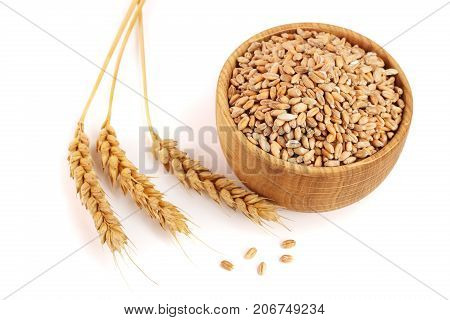 wheat spike and wheat grain in a wooden bowl isolated on white background.