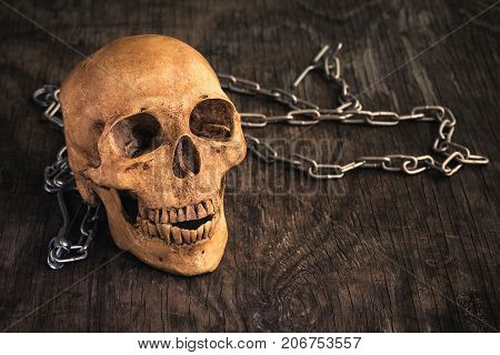 Skull on an old wooden background,Phoney human skull on wooden floor,Halloween concept