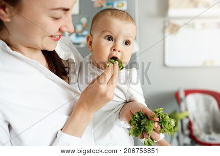 Close up of mother feeding her little baby with salad leaves during cooking lunch for whole family. Child looking aside and happily eats lettuce