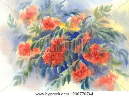 branches with red rowen berries and leaves watercolor background
