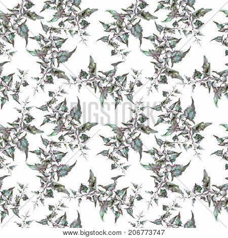 Hand drawing watercolor green sagebrush tarragon leaves ornament