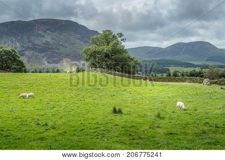 A landscape view of the area around Crummock Water one of the lakes in the Lake District Cumbria United Kingdom.