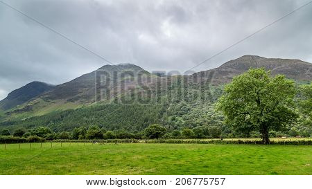 A landscape view of the area around Crummock Water one of the lakes in the Lake District Cumbria United Kingdom.