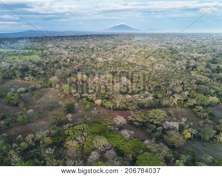Rainforest in Nicaragua view from drone. Scenic nature view in Nicaragua