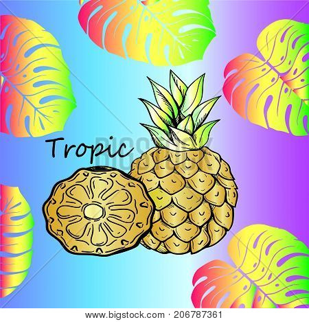 Ripe fruit is pineapple - vitamins and detox. Exotic food. Juicy sweet tropical pineapple and exotic lisya. Tropical background. The poster is ready for printing. Bright creative design - trend of the season