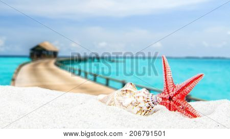 Combination Of Sandy And Shell Front With Blurred Tropical Island Background