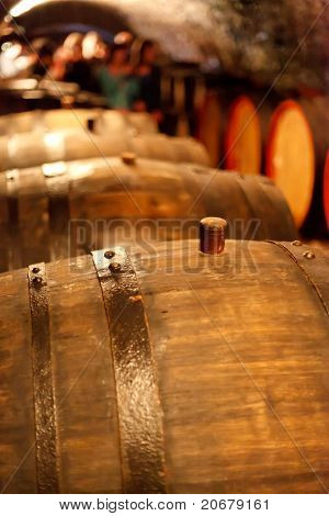 vecchia cantina con botti