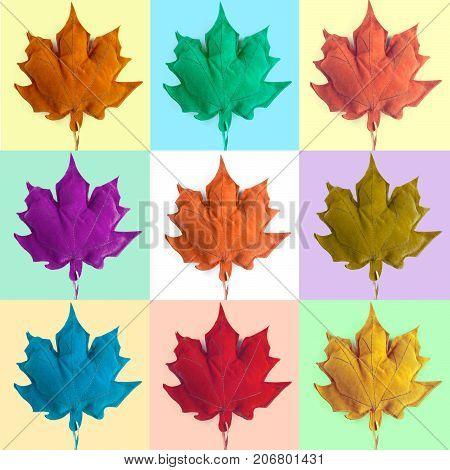 Mosaic of leaves. Colorful Leaf foliage autumn background