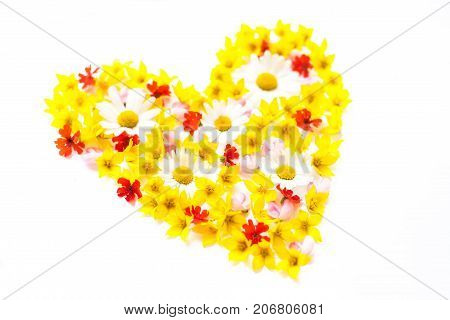 Heart made of garden flowers on white background flat lay top view. Spring love concept. poctcard pattern.