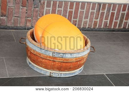 Big Dutch cheese on display in a store