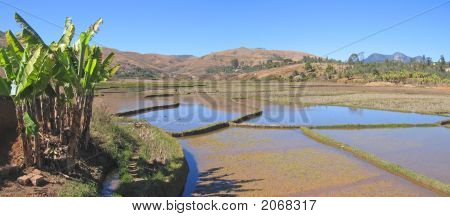 Terassi kulttuuri laaksossa, Andringitra Park, Madagaskar, Panoramique