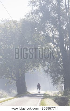 cyclist on country road in the netherlands in morning mist near utrecht on utrechtse heuvelrug
