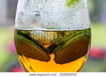 Summertime drink. Pimm's drink with ice, cucumber and mint in the garden with selective focus.