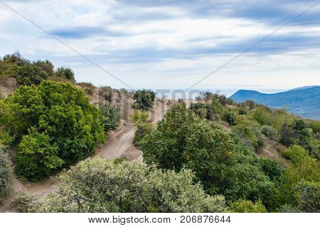 Mountain Road In Crimea