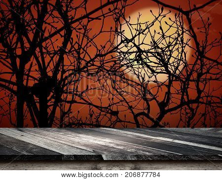 Empty grunge plank wooden table top at spooky tree and full moon with dead treeHalloween holiday conceptTemplate mock up for display or montage of product.