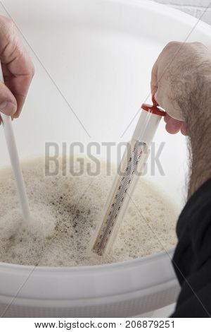 Home beer brewer measuring temperature of mixture