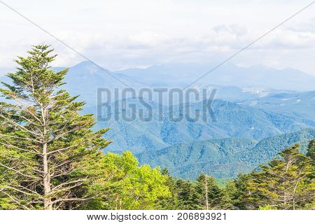 Beautiful landscape view of Utsukushigahara park with sky background is one of the most important and popular natural place in Nagano Prefecture Japan.