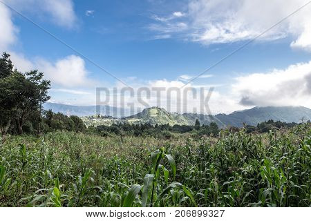 Pacaya Volcano - Guatemala