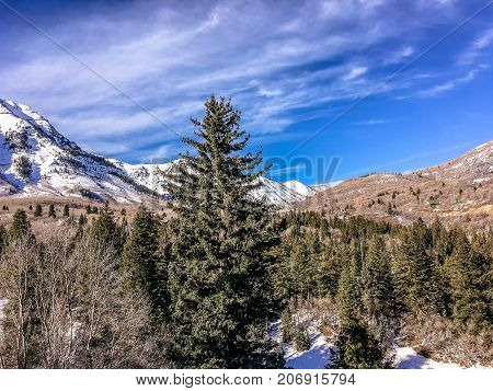 People Skiing Down A Mountain