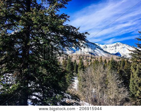 People Skiing Down A Mountain