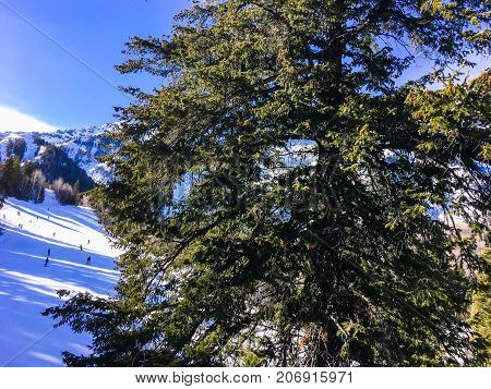 People Skiing Down A Mountain