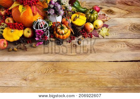 Thanksgiving Background With Pumpkins, Decorated Birdcage, Copy Space