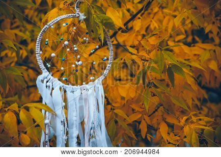 white dreamcatcher on yellow autumn tree close up