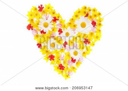 Heart made of garden flowers on white background flat lay top view. Spring love concept. Poctcard pattern.