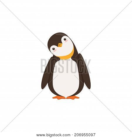 The picture shows a penguin who is tilting his head on a white background.