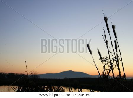 Večerní krajina
