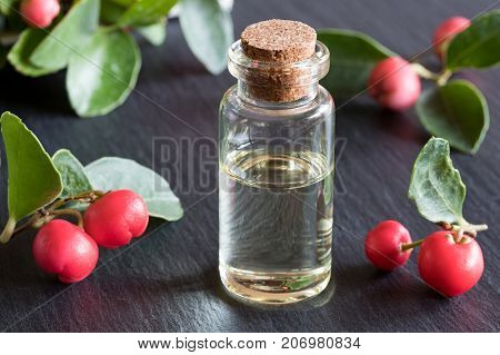 A Bottle Of Wintergreen Essential Oil On A Dark Background
