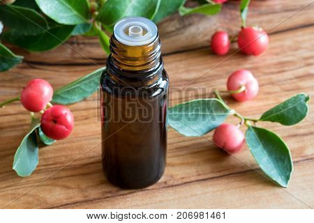 A Bottle Of Wintergreen Essential Oil On A Wooden Background