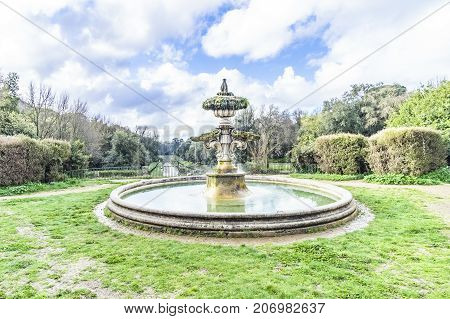 Fountain In The Park