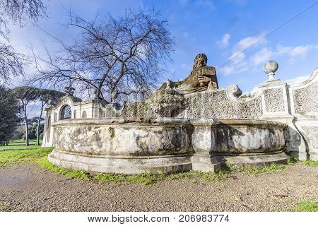 Fountain In The Park