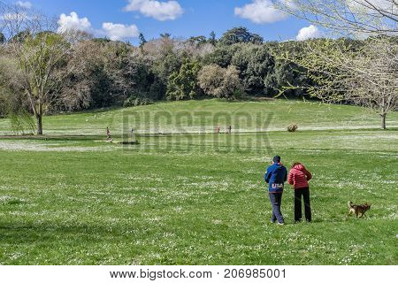 Villa Doria Pamphili