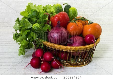 Large basket with delicious autumn colorful vegetables