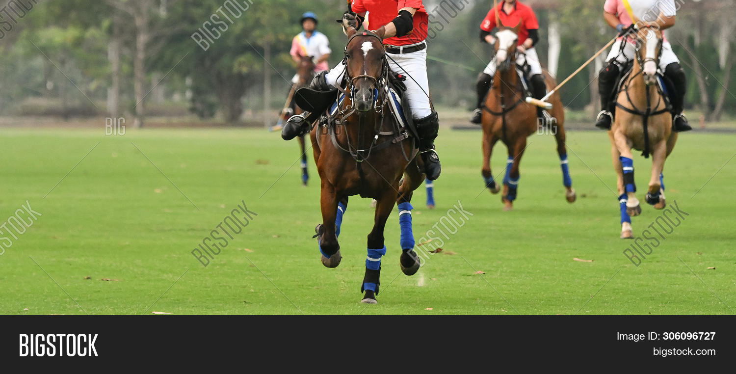 Polo Players Riding Image & Photo (Free Trial) Bigstock