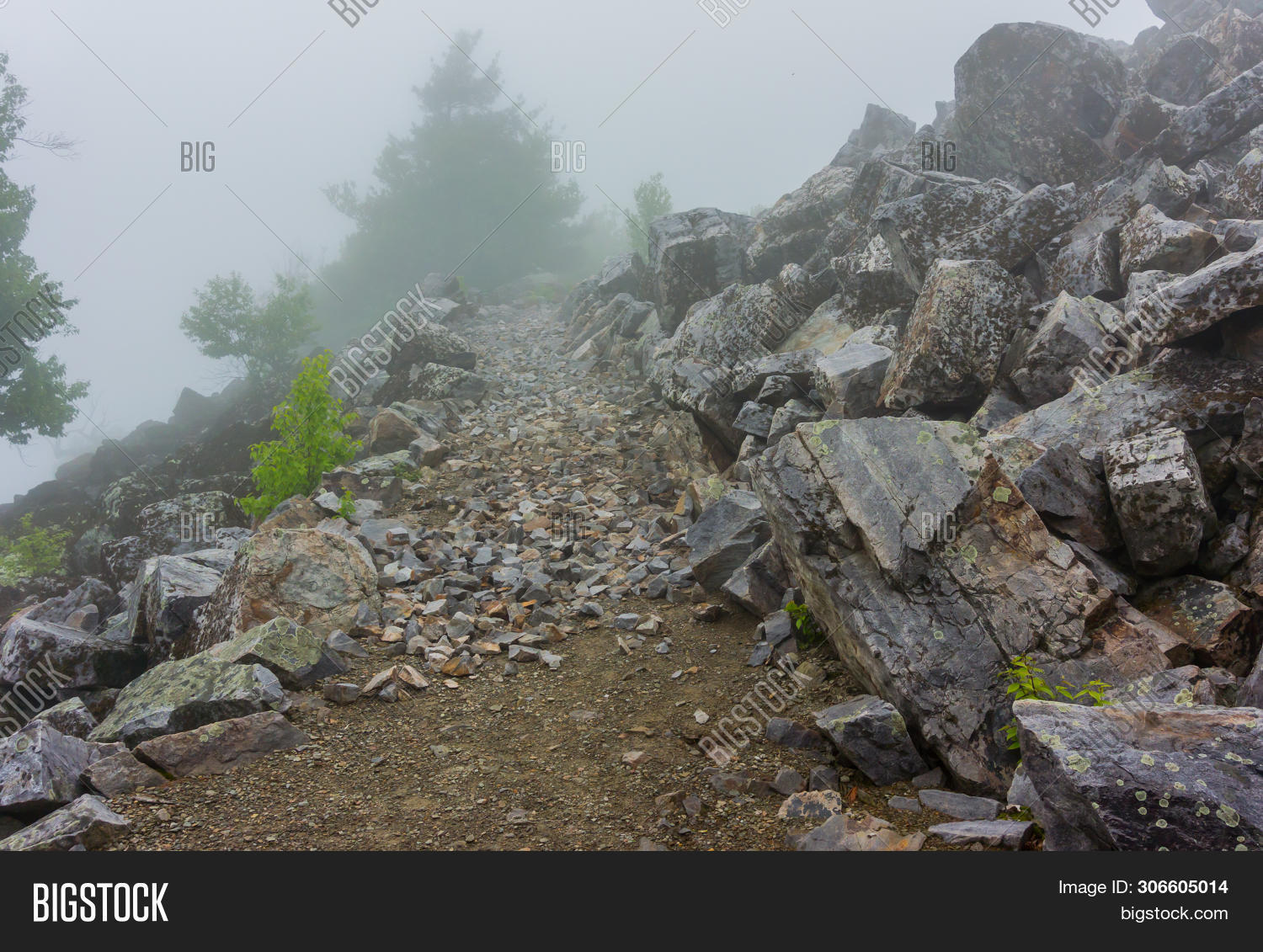 Appalachian Trail Image & Photo (Free Trial) | Bigstock