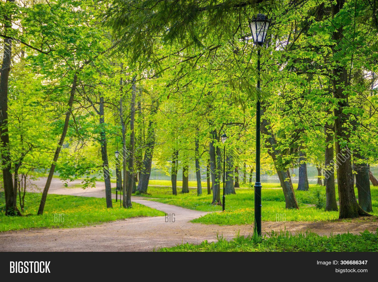 Spring Park Sunny Image & Photo (Free Trial) Bigstock